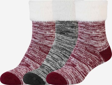 camano Socks in Grey: front