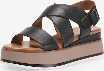 INUOVO Sandals in Black: front