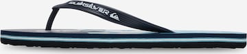 QUIKSILVER Zehentrenner 'Molokai' in Blau: Vorderseite