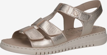 CAPRICE Sandale in Silber: Vorderseite