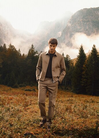 MANGO MAN Regular Pleat-Front Pants 'Ferrara' in Brown