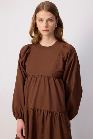 Touche Prive Dress in Brown