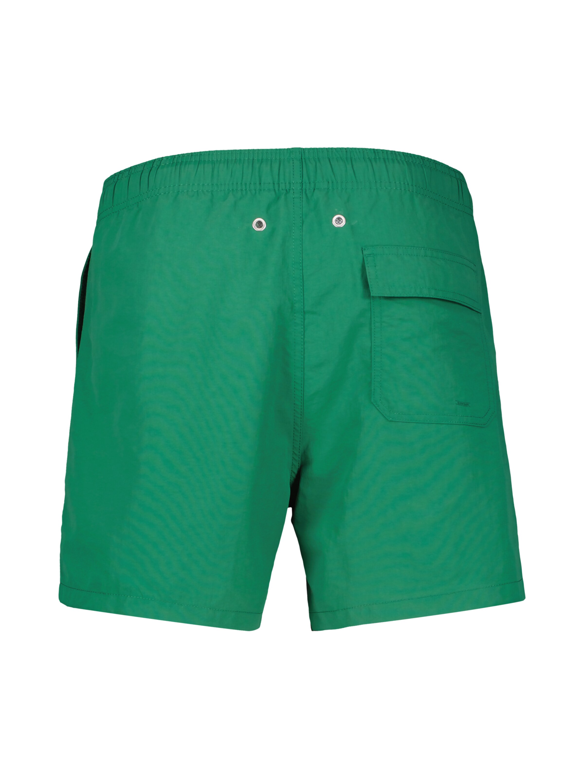 LERROS Regular Trousers in Green