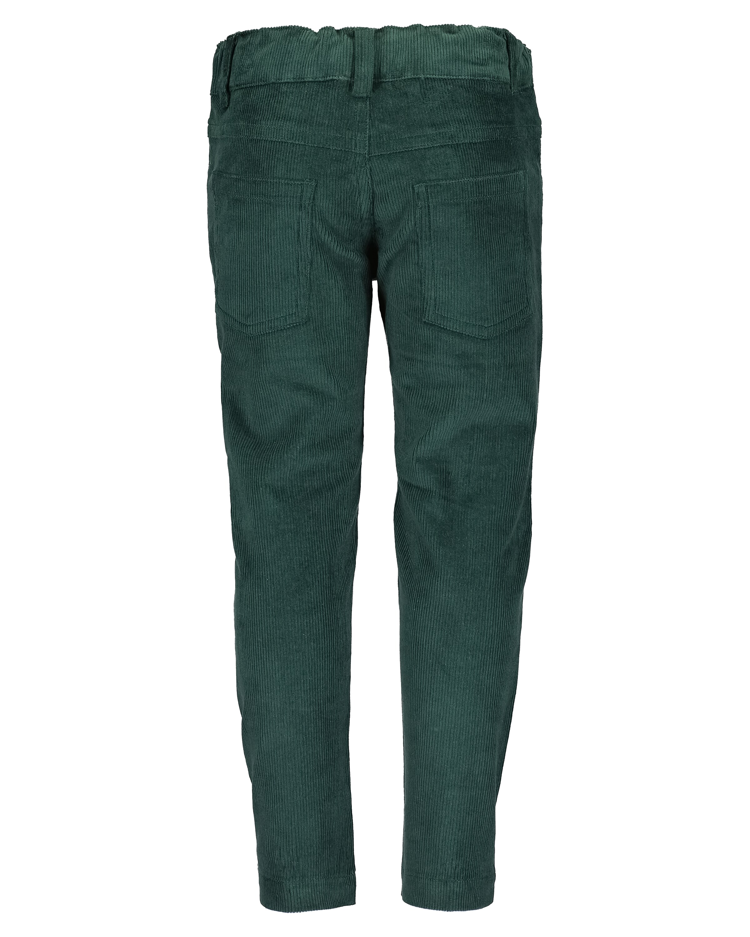 BLUE SEVEN Regular Pants in Green