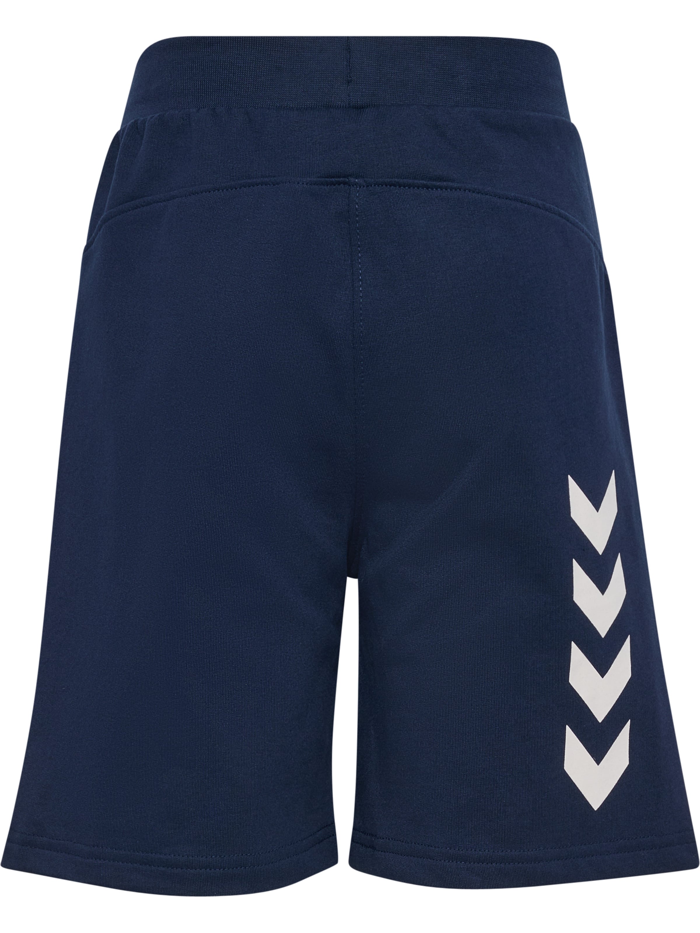 Hummel Regular Sports trousers in Blue