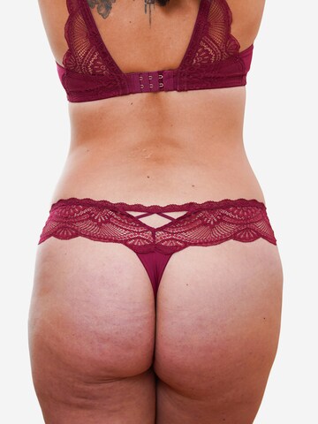 SugarShape Thong 'Pure Divine' in Red