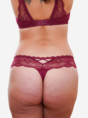 SugarShape String 'Pure Divine' in Rood