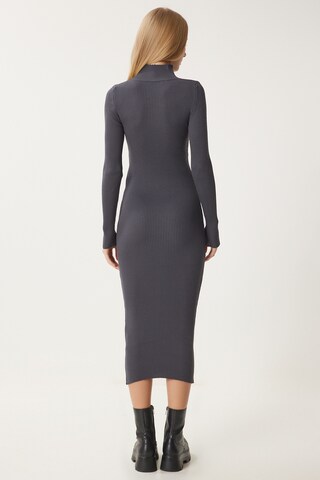 Happiness İstanbul Kleid in Grau