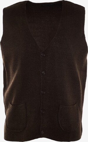 Trendyol Vest in Brown: front