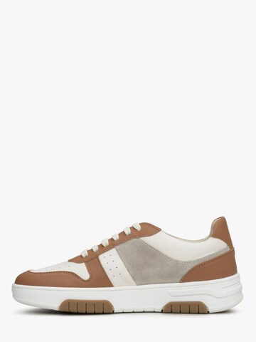 Baskets basses '09-3149' Estro en marron