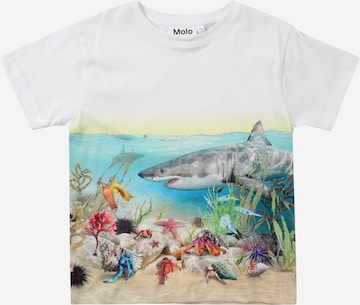 T-Shirt 'Raveno' Molo en blanc : devant