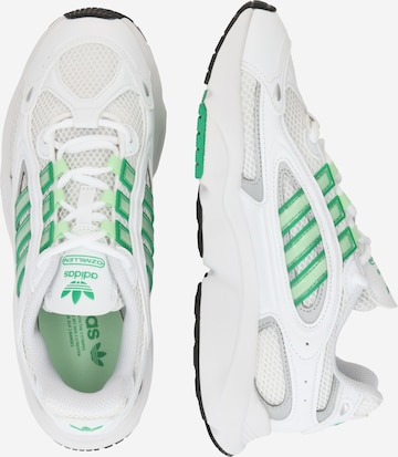 Sneaker bassa 'OZMILLEN' di ADIDAS ORIGINALS in bianco