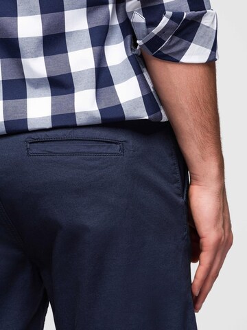 Ombre Regular Broek in Blauw