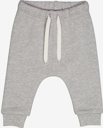 Regular Pantalon '' Fred's World by GREEN COTTON en gris : devant