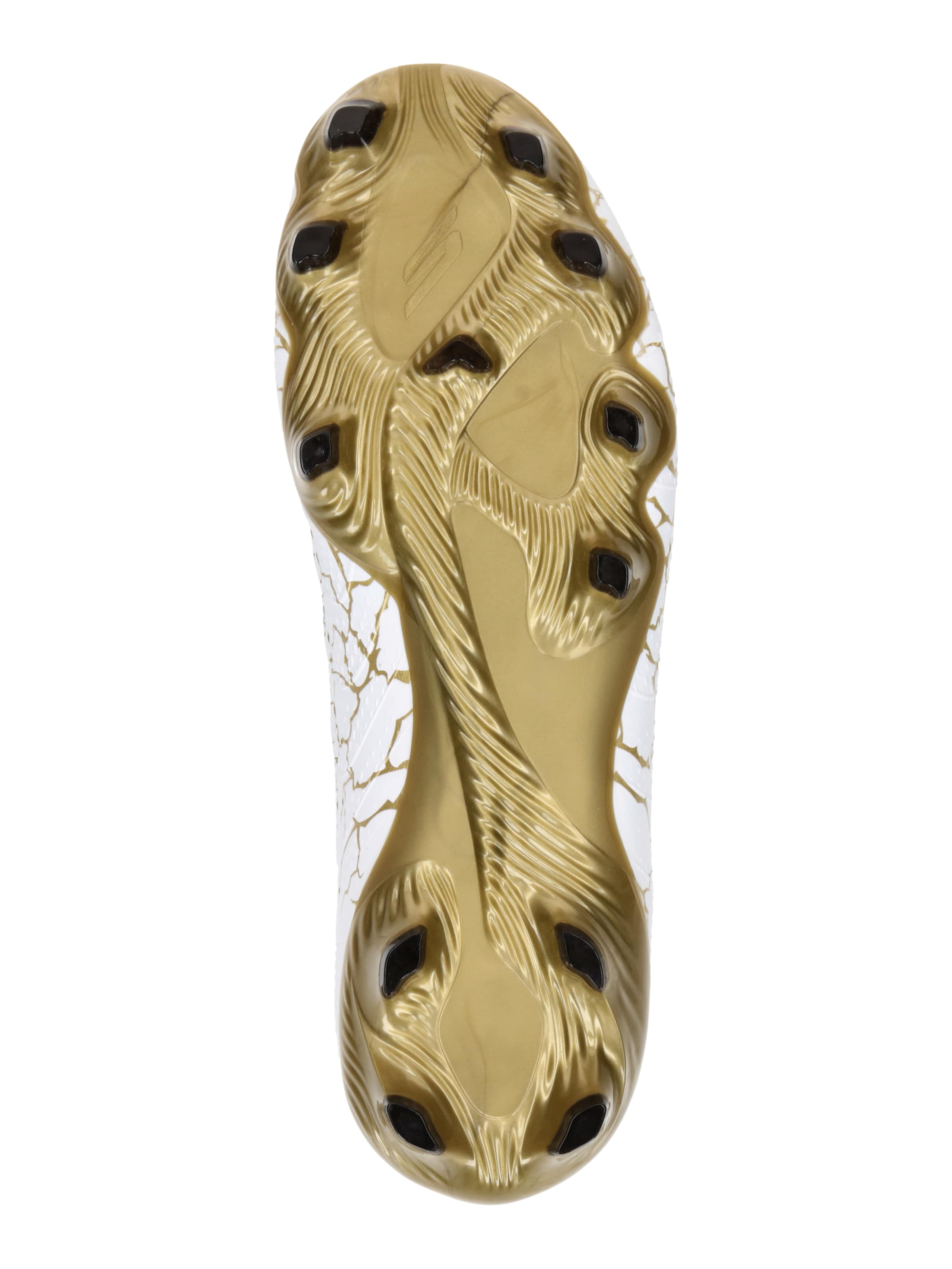 Chaussure de foot 'SKX_1.5 ACADEMY FG' SKECHERS en blanc