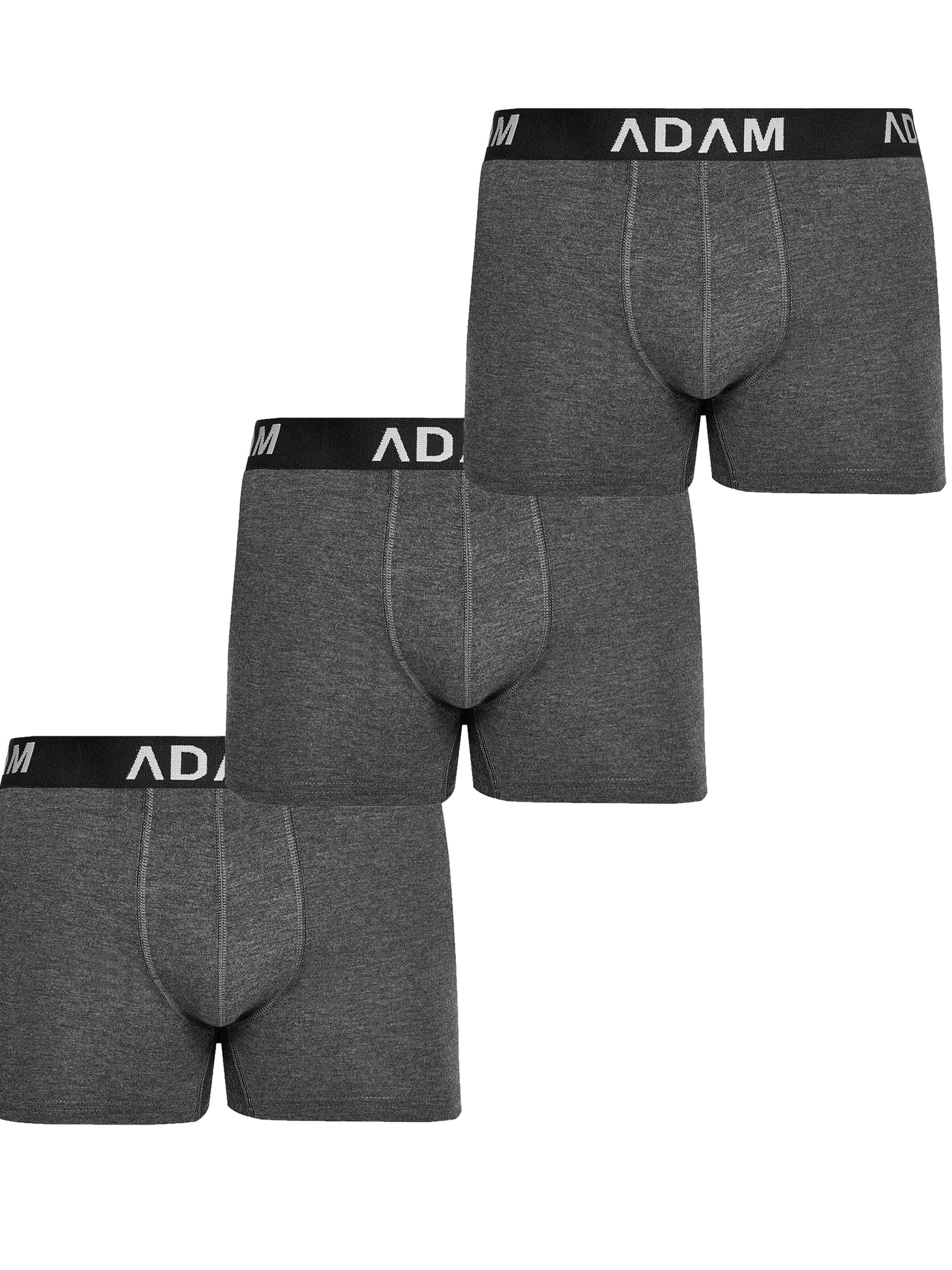 Adam Boxer shorts '3er Pack' in Grey: front