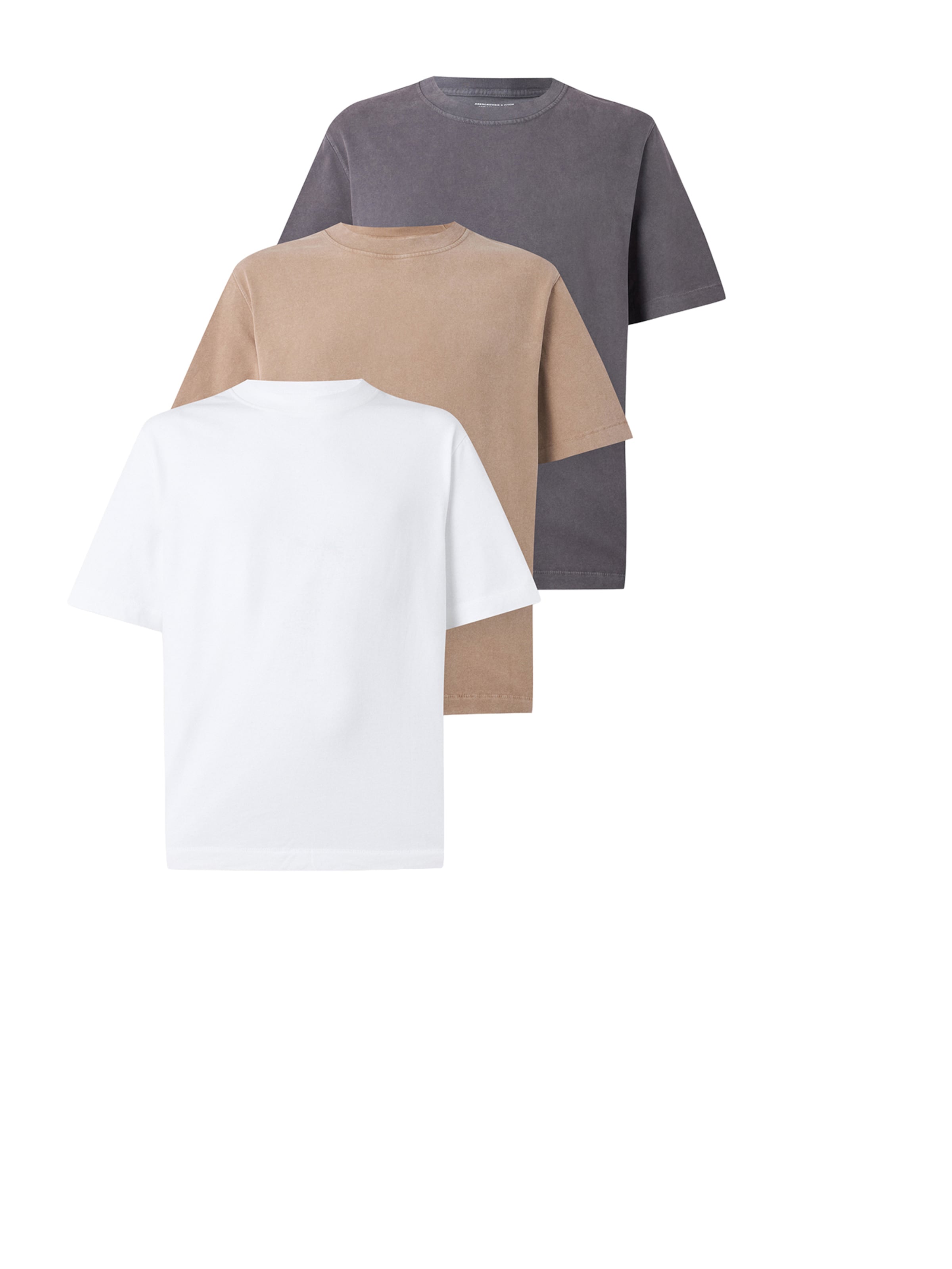 Maglietta 'PREM HW 2.0' di Abercrombie & Fitch in marrone: frontale