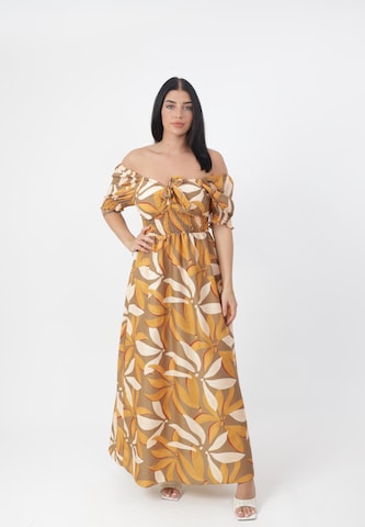 Elara Dress in Brown: front