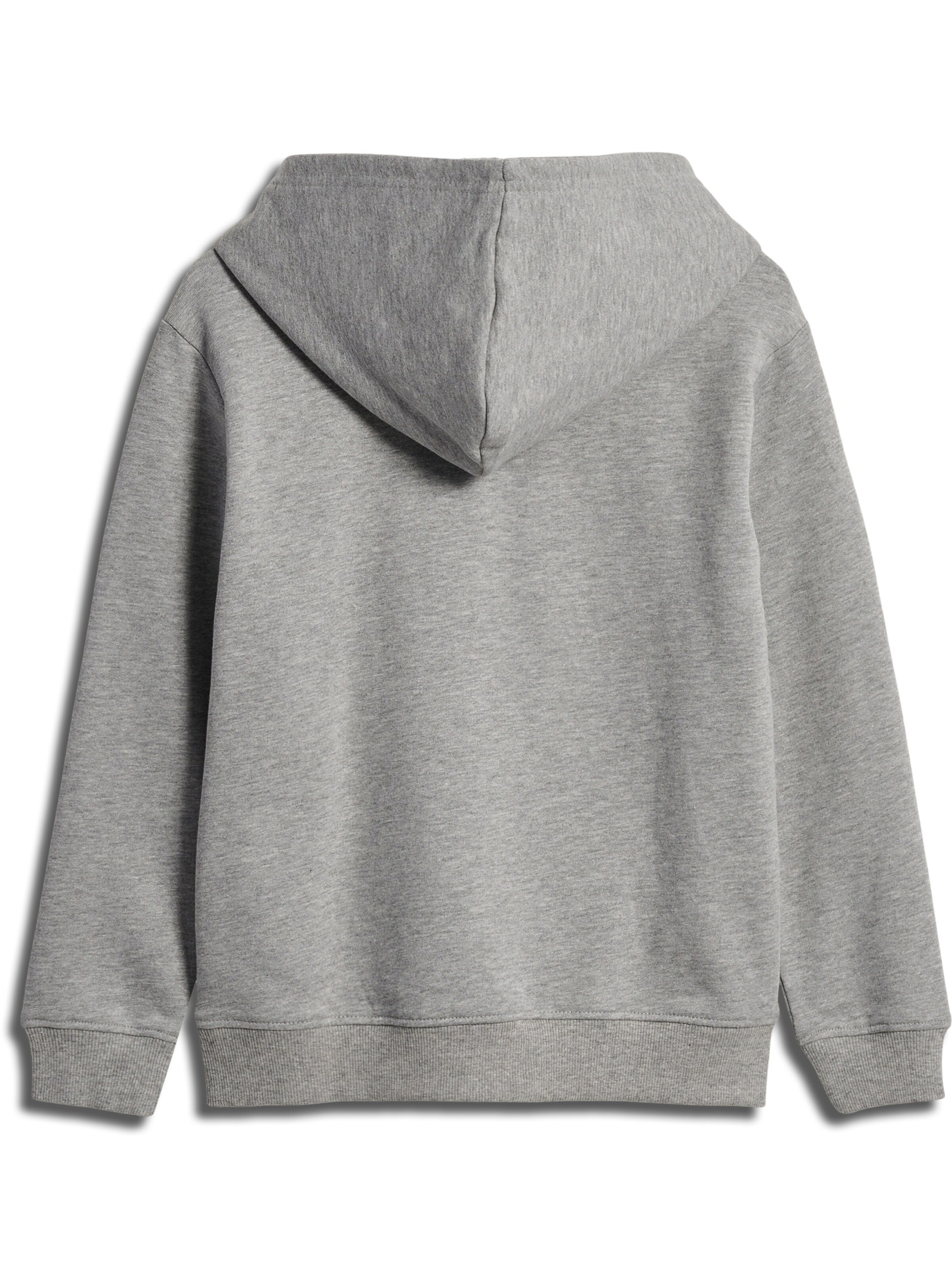 SOMETIME SOON Sweatshirt i grå