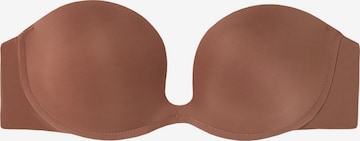 INTIMISSIMI Push-up Bra in Brown: front