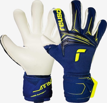 REUSCH Torwarthandschuhe 'Attrakt Duo Finger Support' in Blau: Vorderseite