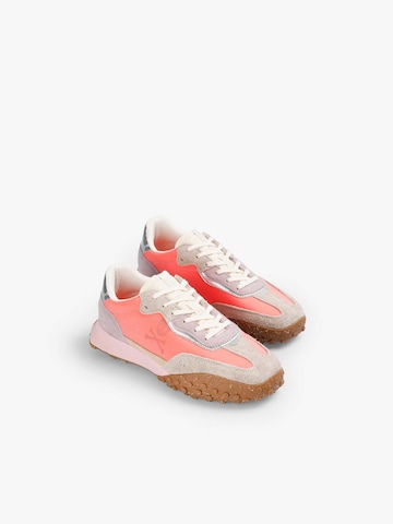 Sneaker bassa ' ' di Scalpers in rosa