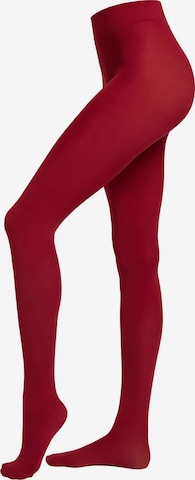 CALZEDONIA Fine Tights in Red: front