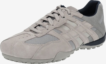 Baskets basses GEOX en gris : devant