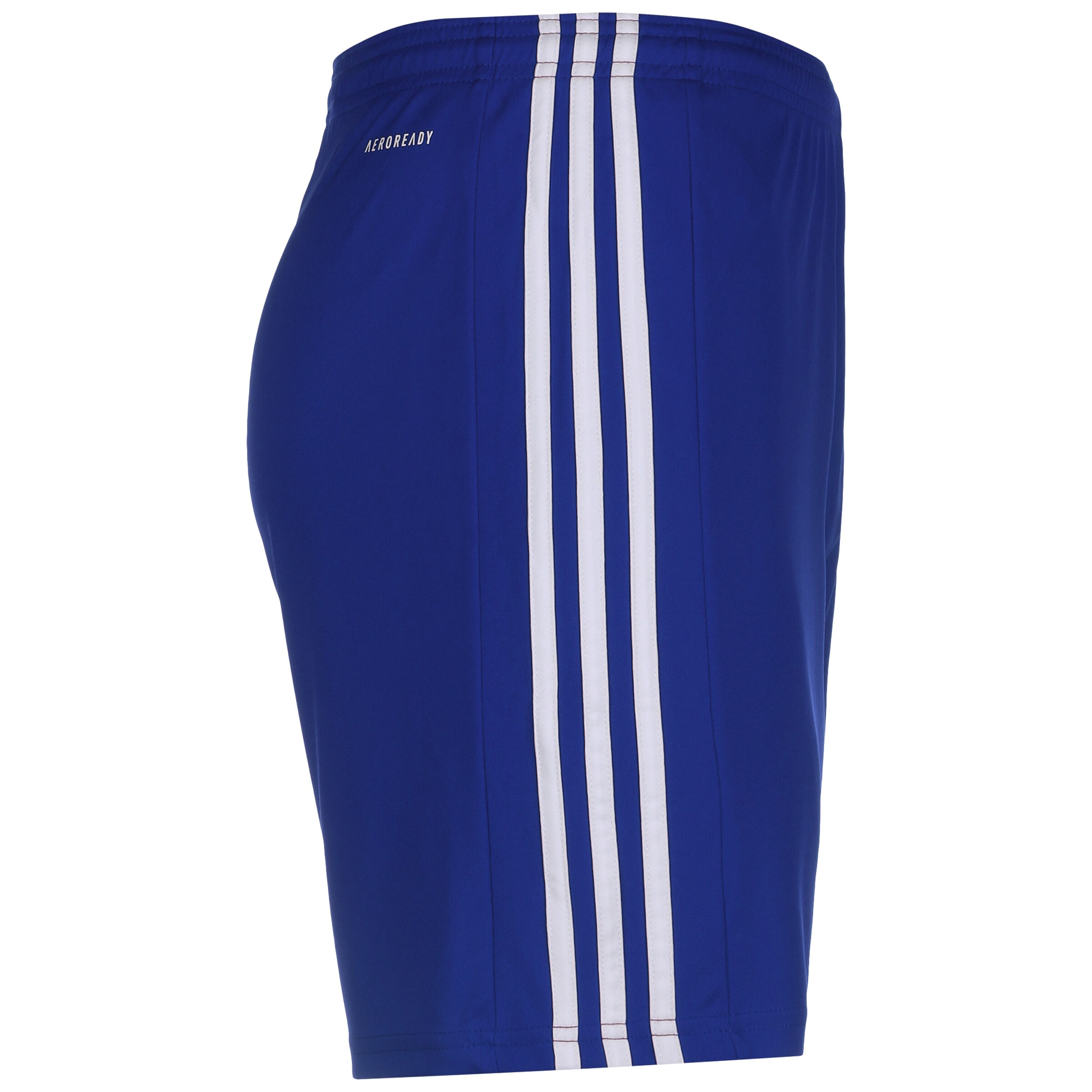 ADIDAS PERFORMANCE Regular Workout Pants 'Squad D 21' in Blue