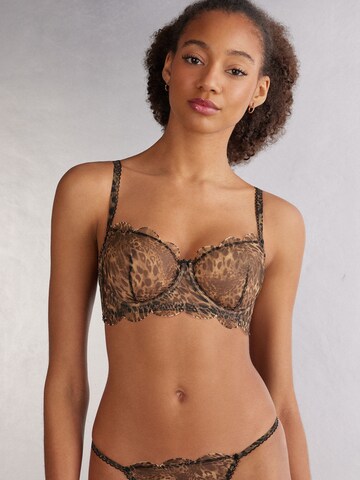 INTIMISSIMI Bustier BH in Braun: Vorderseite