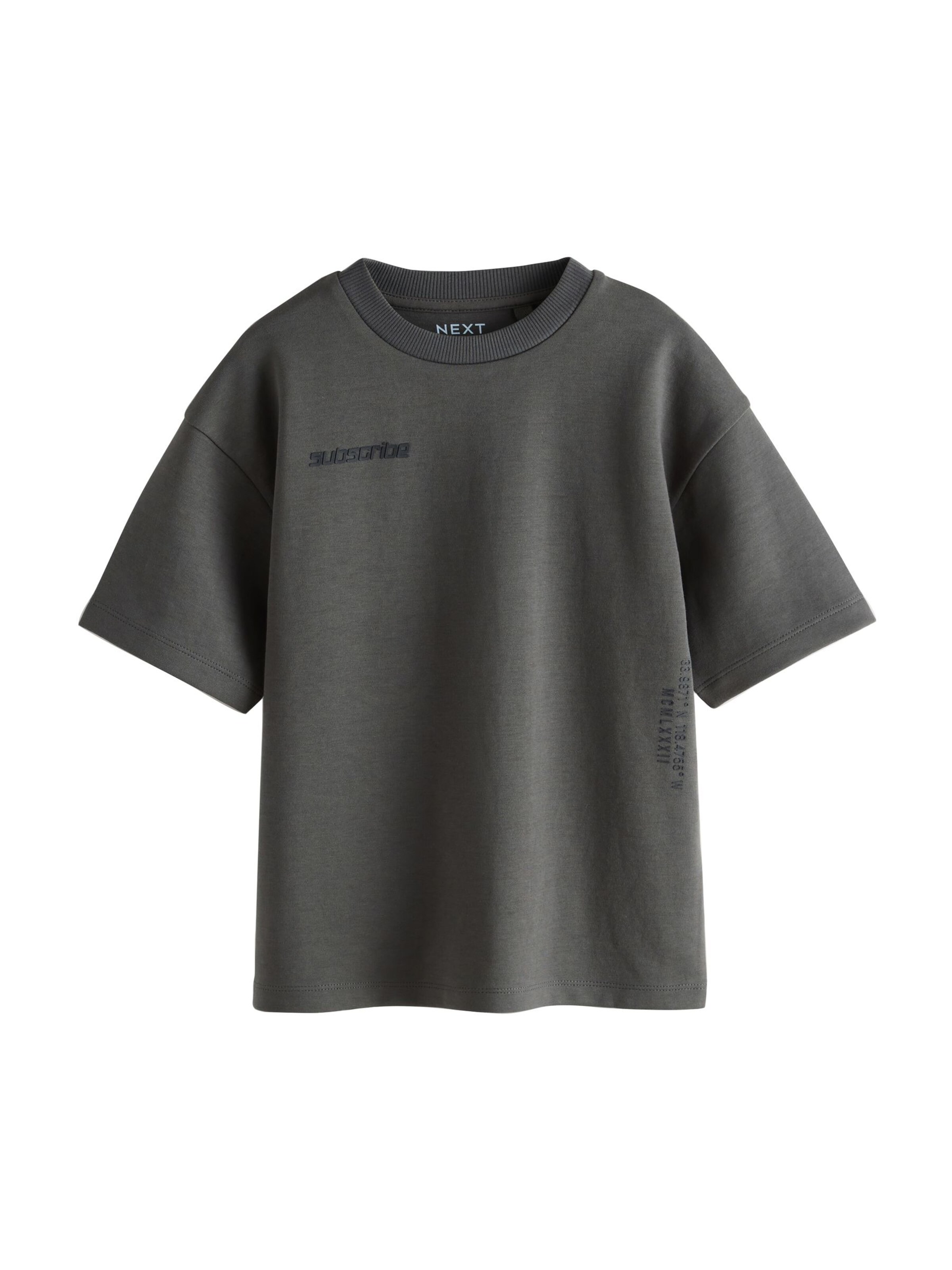 Next Shirt in Grey: front