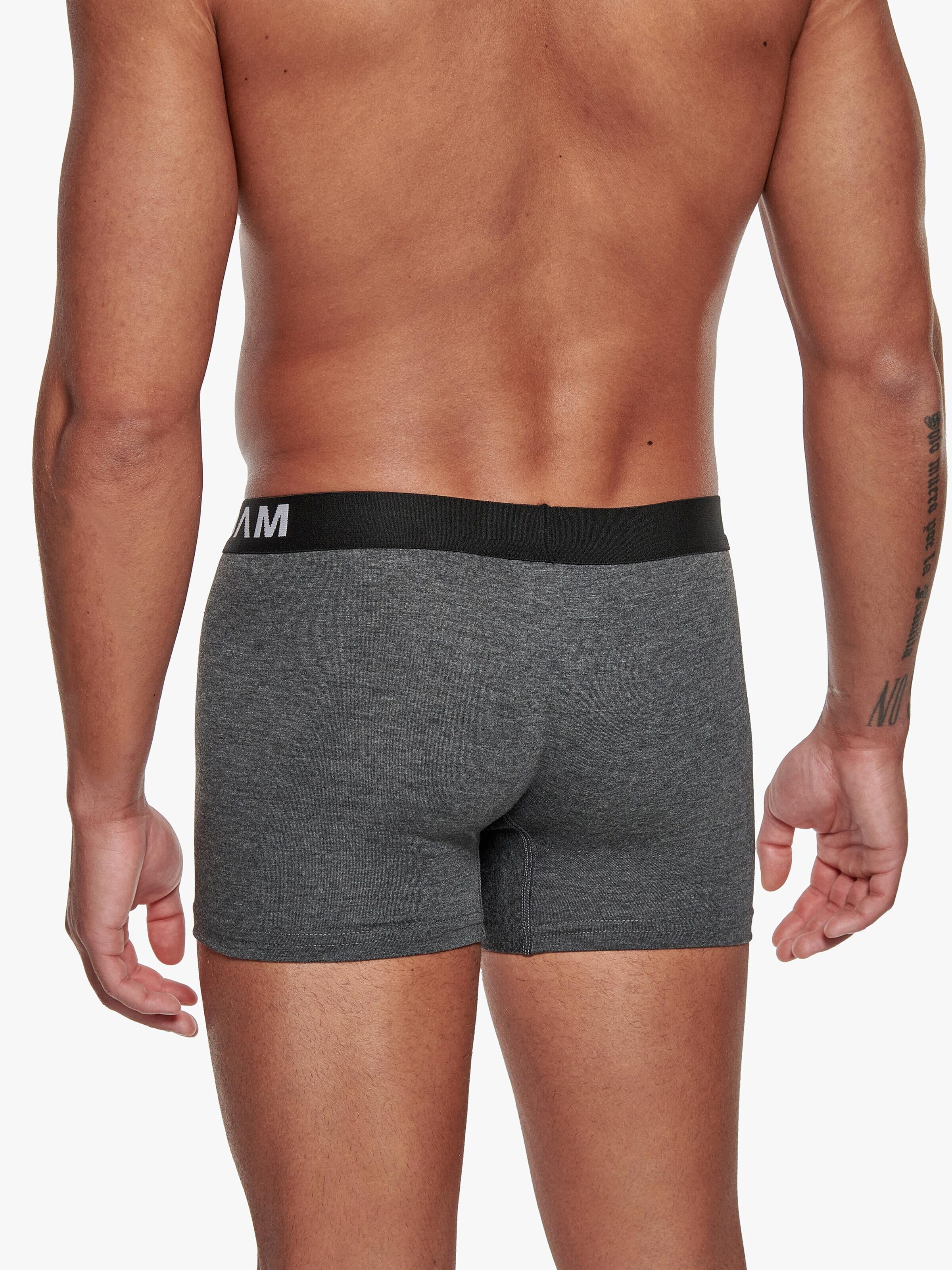Adam Boxer shorts '12er Pack' in Grey