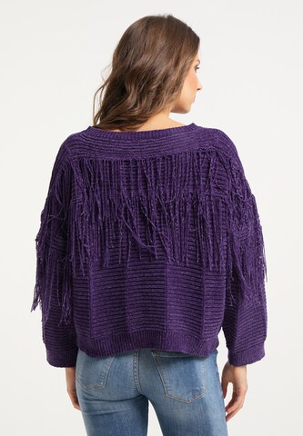 IZIA Pullover in Lila