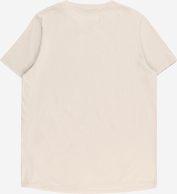 Abercrombie & Fitch T-Shirt 'MEDITERRANEAN DEST' in Braun