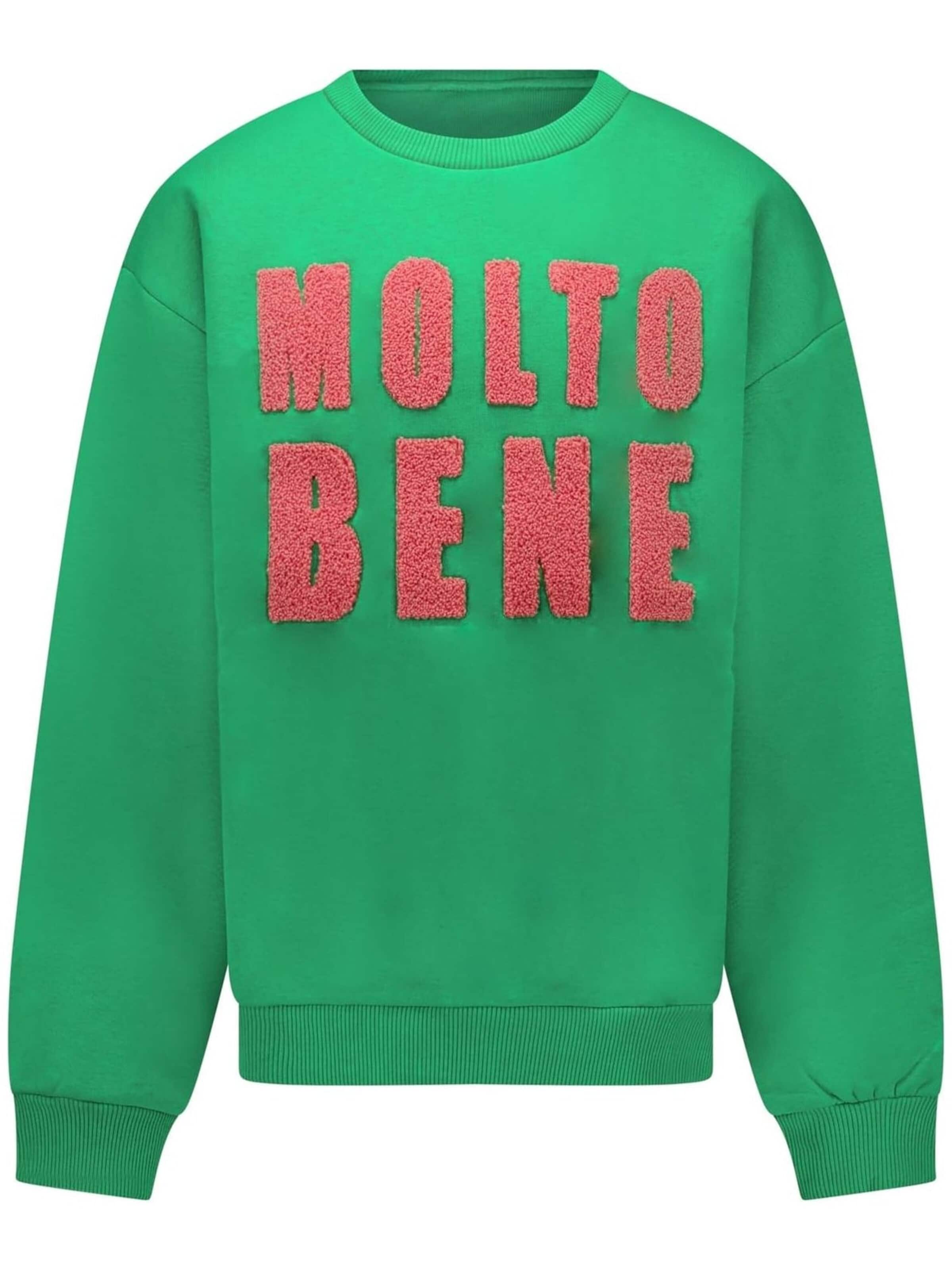 CARS Sweatshirt in Groen: voorkant