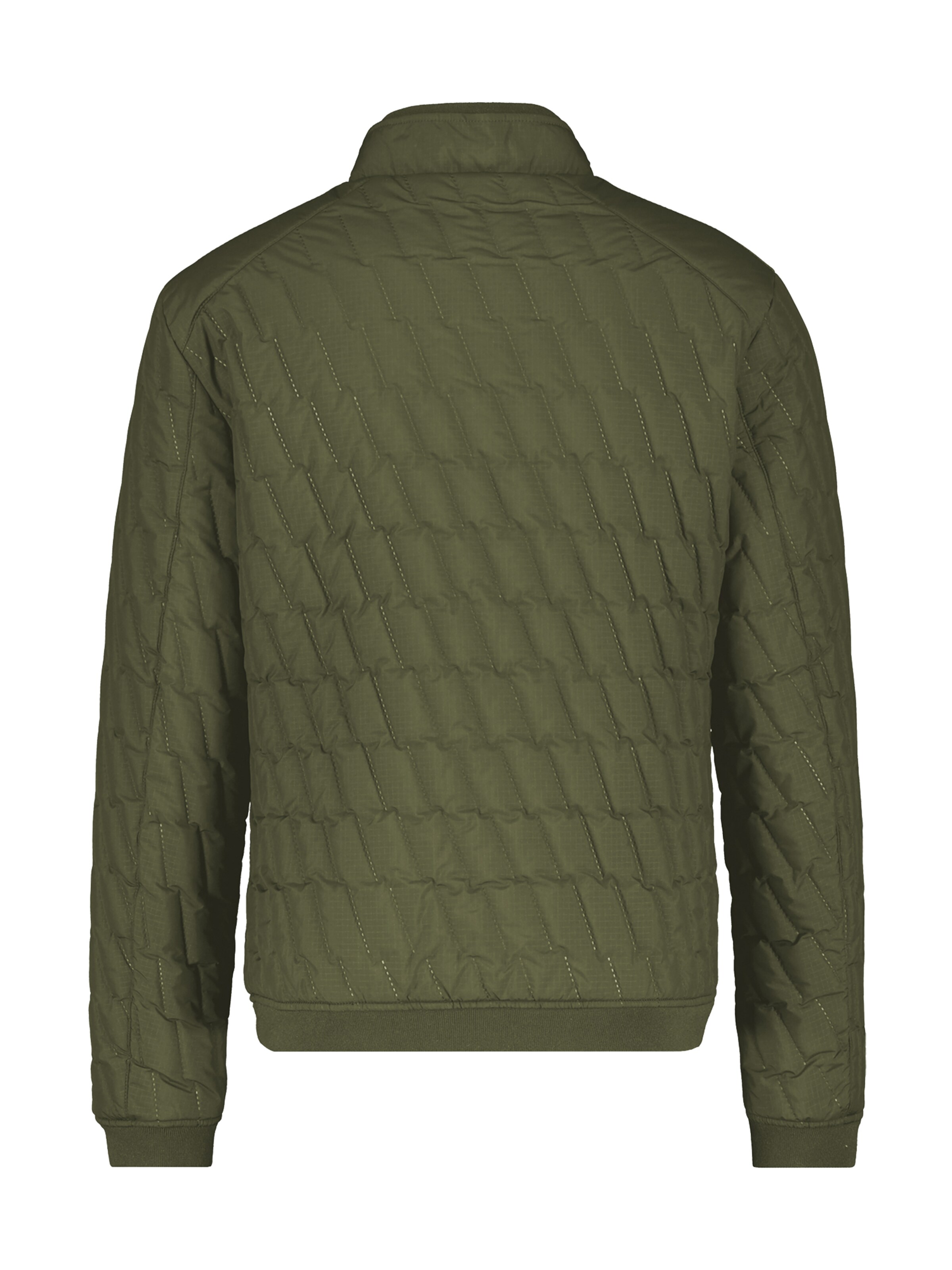 LERROS Between-Season Jacket in Green