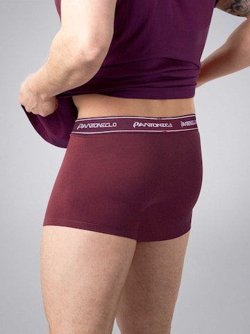 PANTONECLO Boxer shorts 'Pantoneclo Men’s Boxer Underwear' in Red