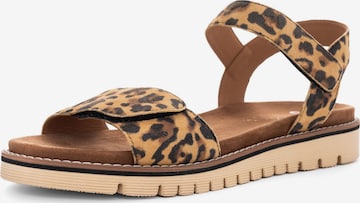 Sandalo con cinturino di ARA in marrone: frontale