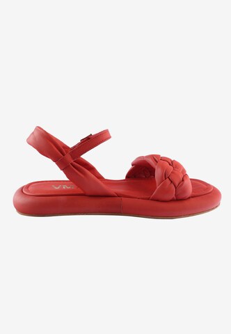 D.MoRo Shoes Sandals 'LEFORA' in Red