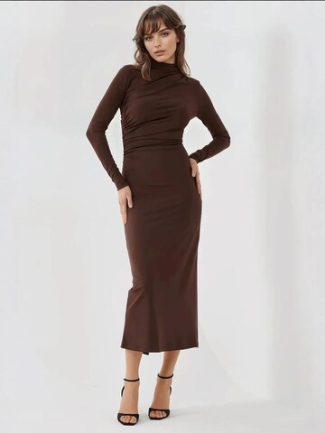 Hiccup Kleid in Braun: Vorderseite