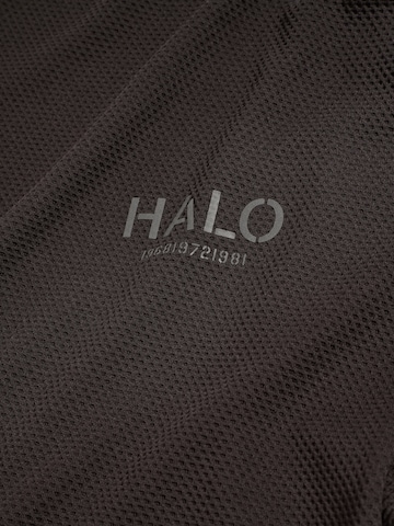 HALO Shirt in Brown