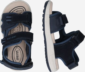 GEOX Sandals & Slippers 'ALBEN' in Blue