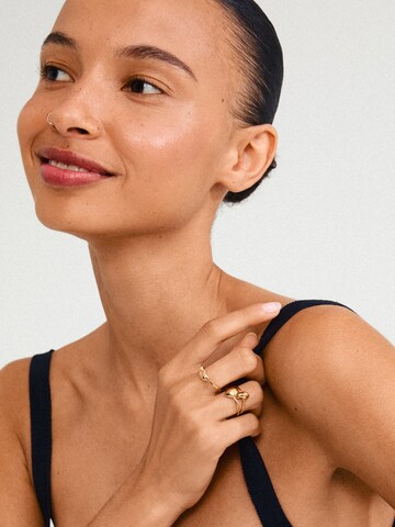 Pilgrim Ring in Gold: front
