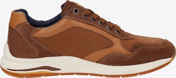 SIOUX Sneakers 'Turibio-711-J' in Brown