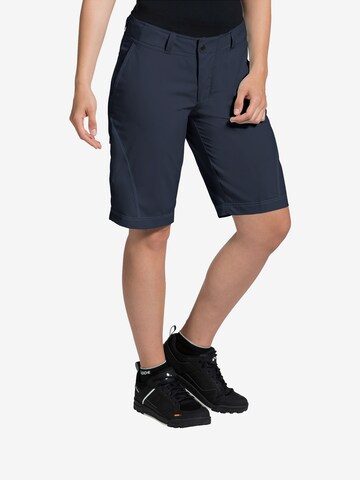 VAUDE Regular Workout Pants 'Ledro' in Blue: front