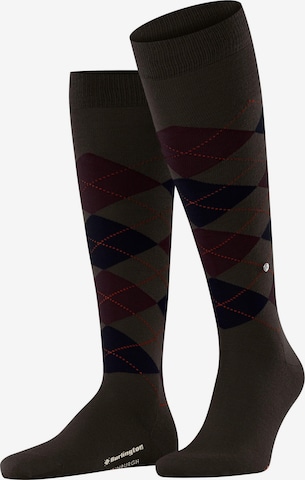 BURLINGTON Knee High Socks 'Edinburgh' in Brown: front