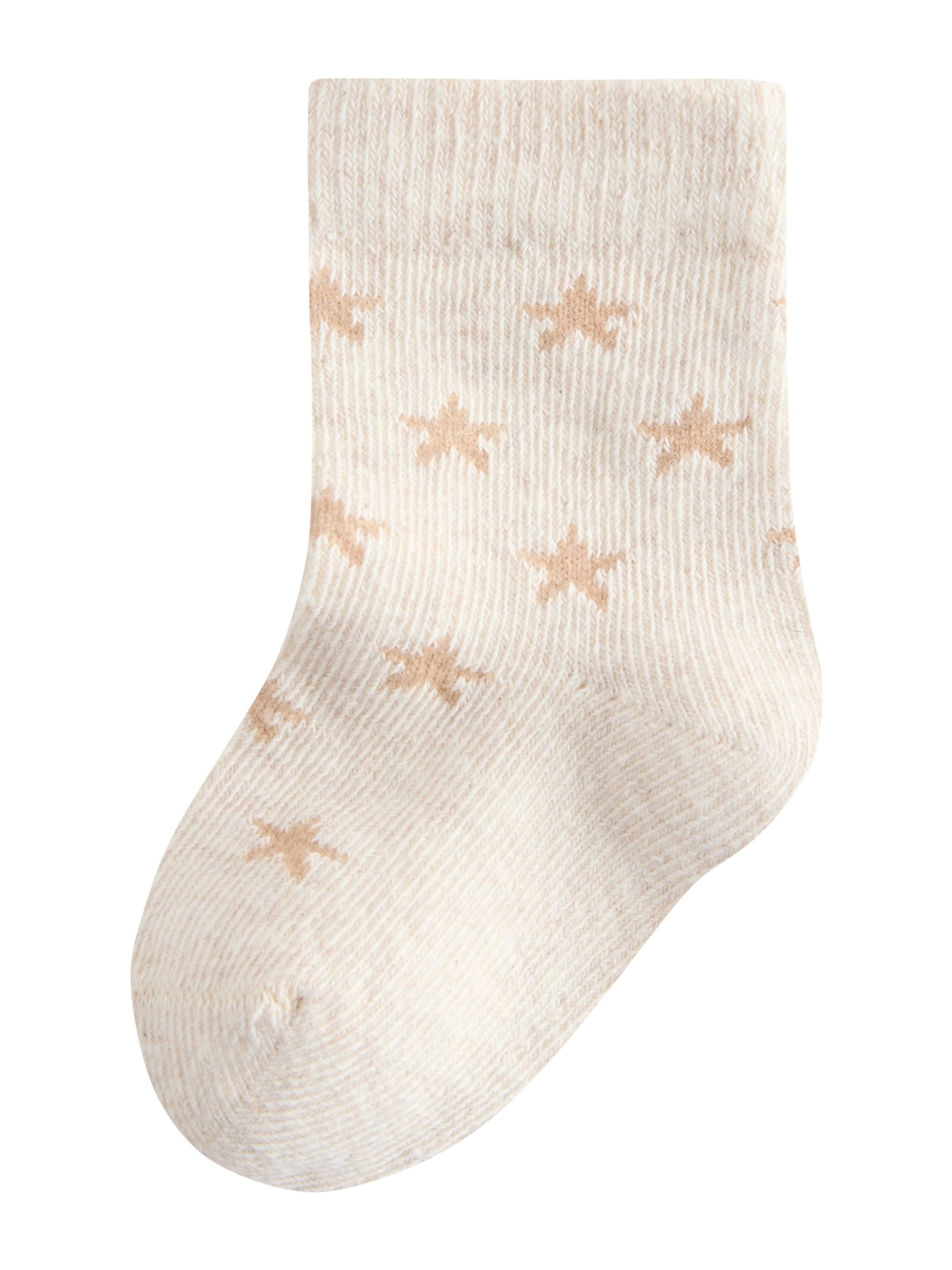 Next Socks in Mixed colours