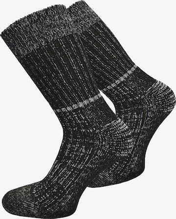 Chaussettes normani en noir : devant