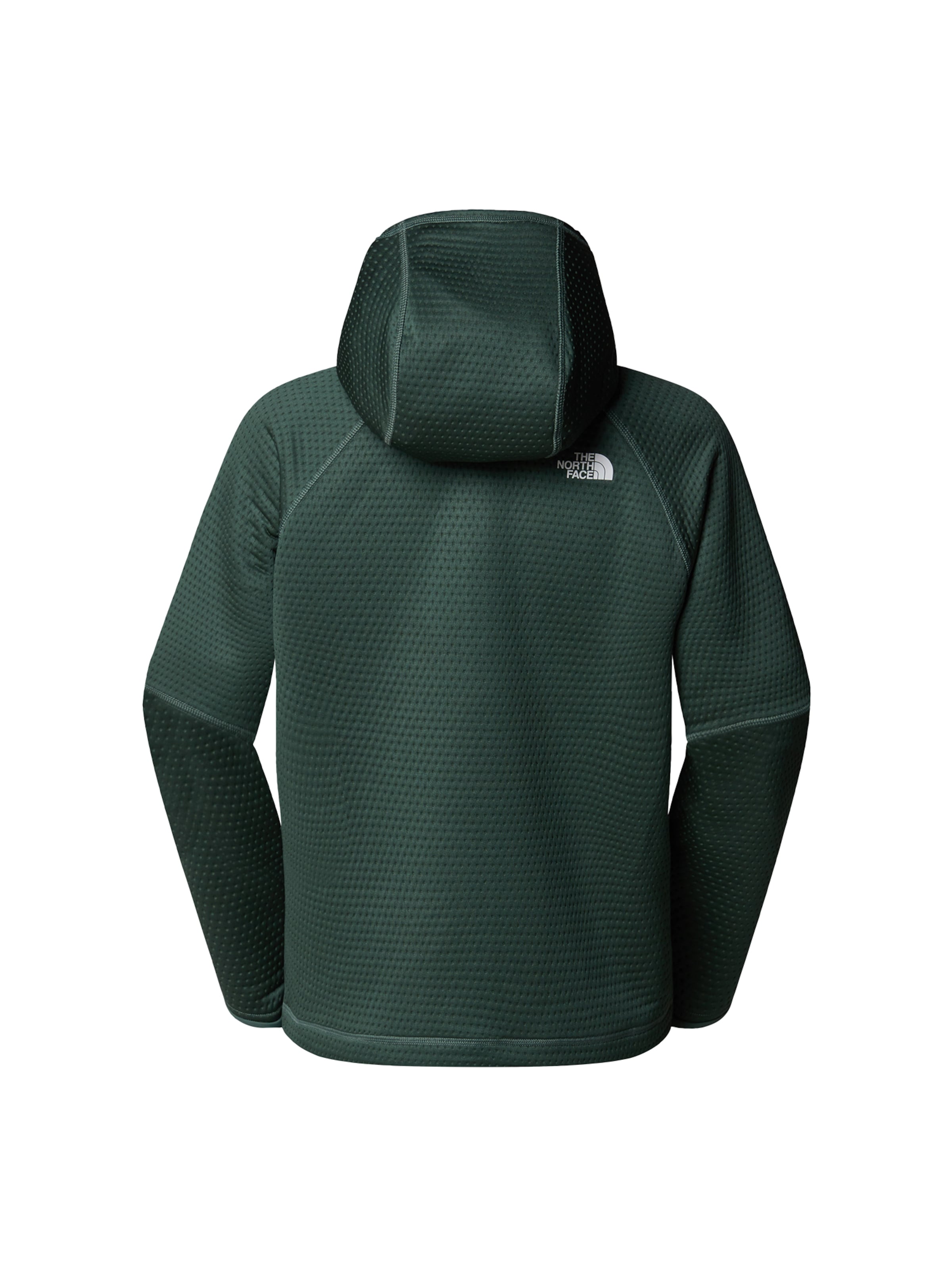 THE NORTH FACE Udendørsjakke i grøn