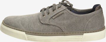 Pius Gabor Sneakers in Grey